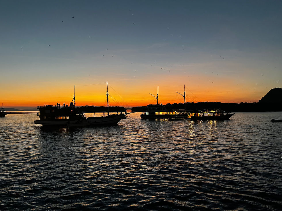 boten in de zee met ondergaande zon