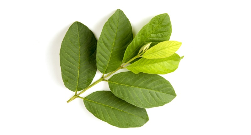 ree