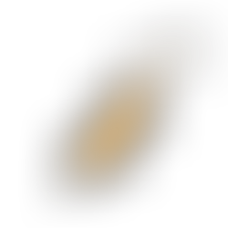 High Blood Cholesterol