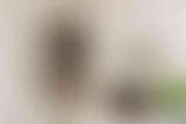 23 Brunswick Terrace, Hove