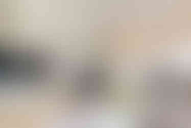 23 Brunswick Terrace, Hove