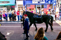 Southern Pines Veterans Parade Caparisoned Horse and Combat Controller.jpeg