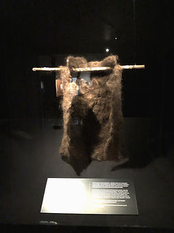 IMG_3986_edited.jpg
