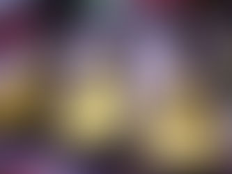 Furch 3本弾き比べを見よう!