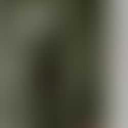 中川イサト　OPUS1310　のススメ