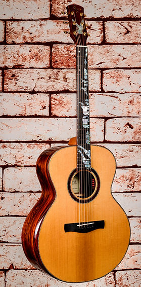 SJ09A-X Noah ESN NH Custom (2022-06) 01.jpg