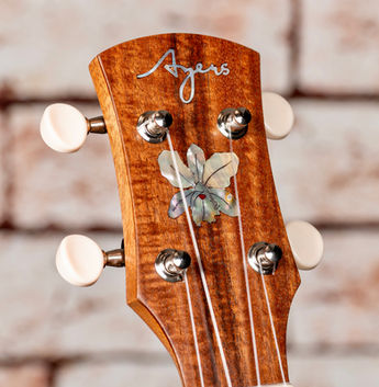 UC-09T (2022-05) 05.jpg