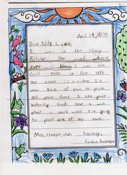 Paddy Lynn Love Letters