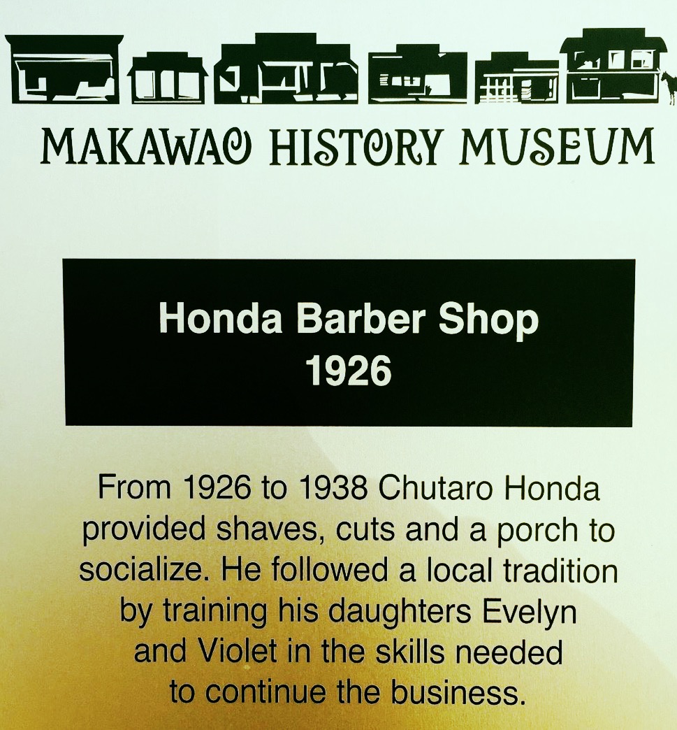 Maui Hair Salon Tiger Eye Salon United States