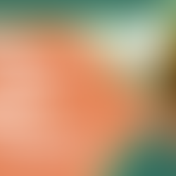 A Fresh Start: Welcoming 2024 with Renewed Enthusiasm in Cannabis Marketing