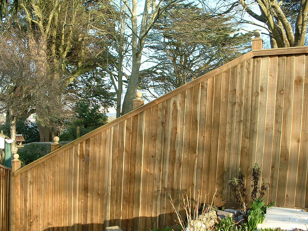 eden+fencing+wb+slope2.JPG