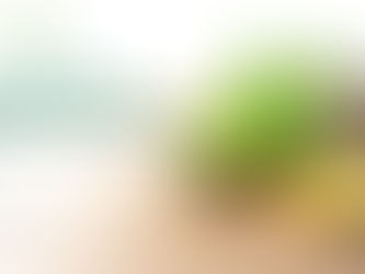 Respiratory Care 2026: The Strategic Advantage of Third-Party Syrup Manufacturing