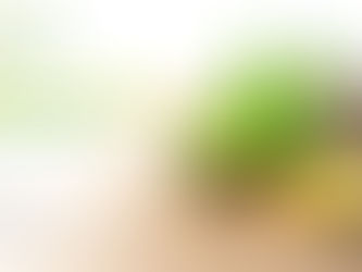 Ancient Nutrients | Trusted Third Party Nutraceutical Manufacturer for Quality & Growth