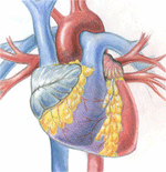 The Fitness Digest-Kenya:Health and Fitness,Oral Health, Nutrition, Exercise and well being.