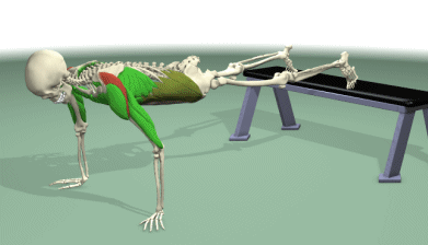 The Fitness Digest-Kenya:Health and Fitness,Oral Health, Nutrition, Exercise and well being.