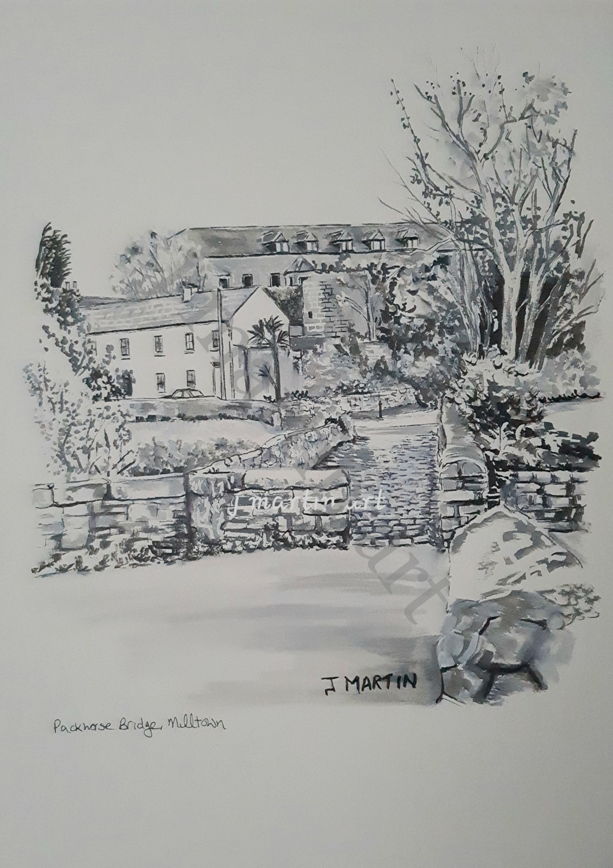 View of the Packhorse Bridge in Milltown, Dublin