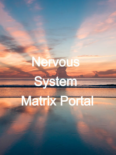 Check Out Nervous System Matrix Portal In The Menu!