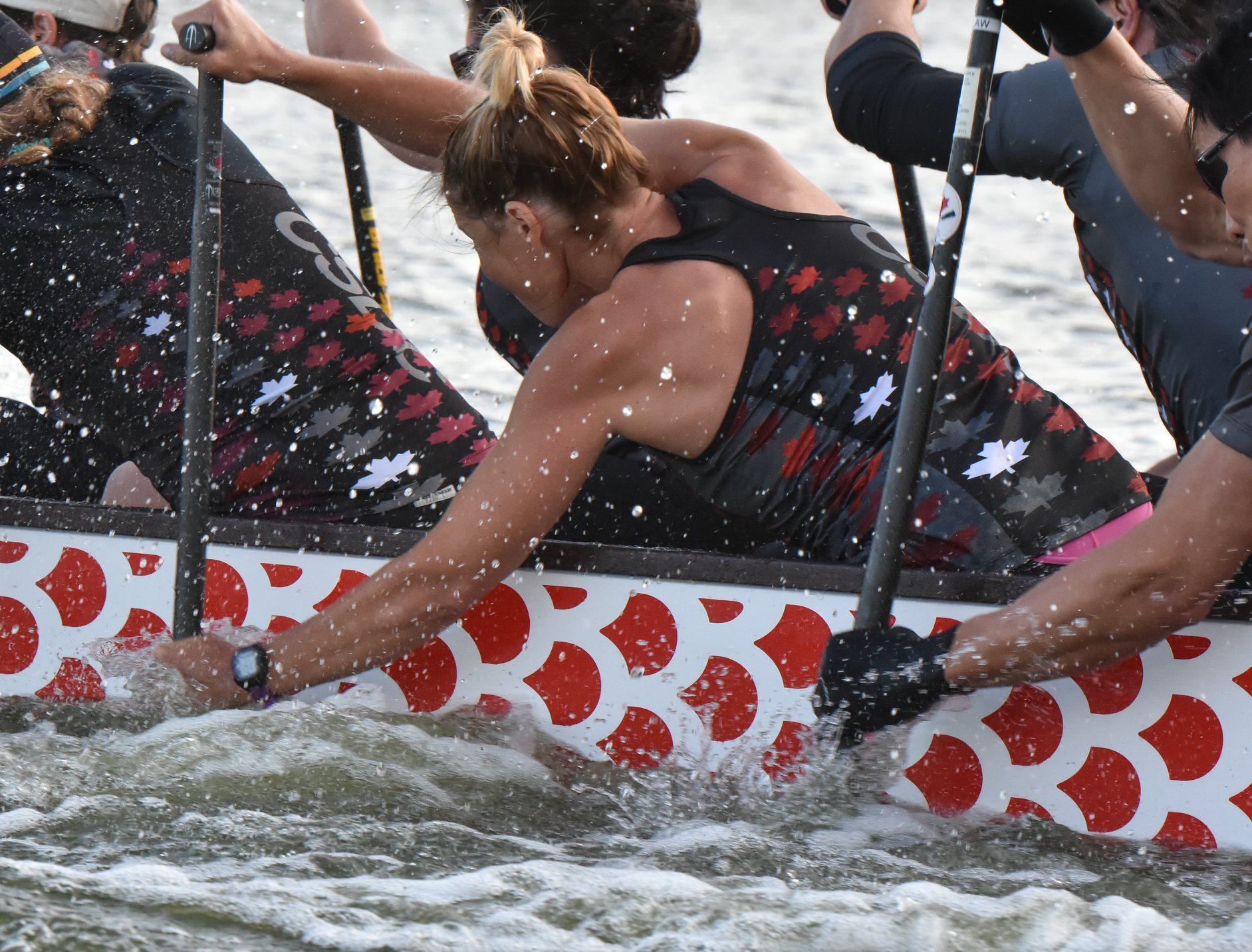 Home Evolution Paddle Club