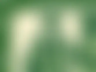 PREPOSTO: CHI DEVE ESSERE NOMINATO?