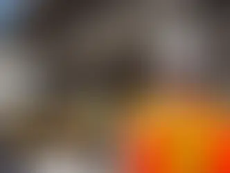 RSPP Esterno : Scelta e Nomina dell’Esperto per la Sicurezza sul Lavoro