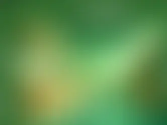 PRSES : Persona responsabile della sicurezza delle scaffalature