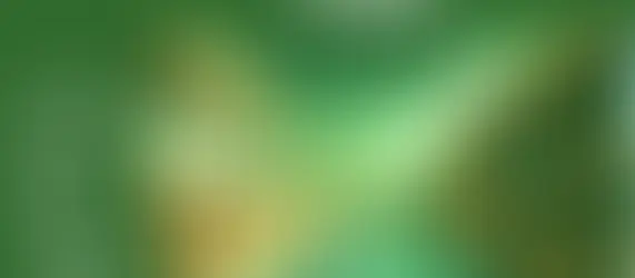 PRSES : Persona responsabile della sicurezza delle scaffalature