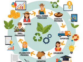 Encadenamiento Productivo: Clave para Ecosistemas Empresariales Sostenibles