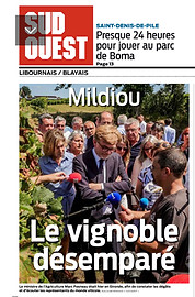 Mildiou 2023