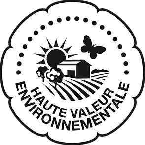 Logo HVE