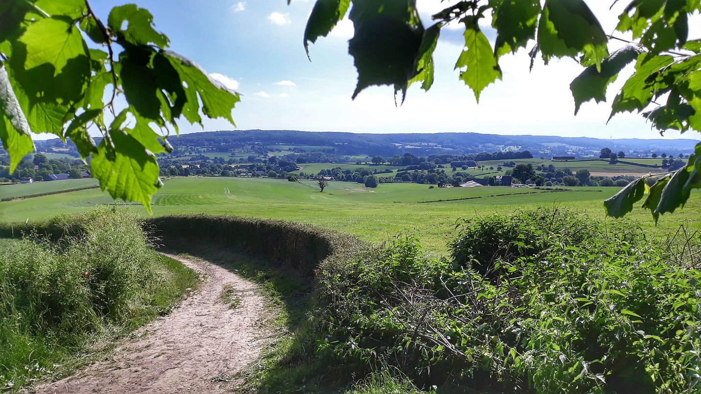 Wandelblog over het Krijtlandpad
