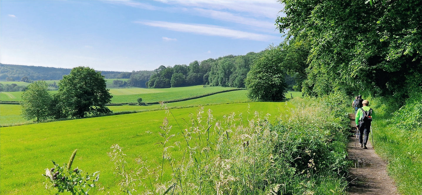 Wandelen over de Dutch Mountain Trail in Zuid Limburg