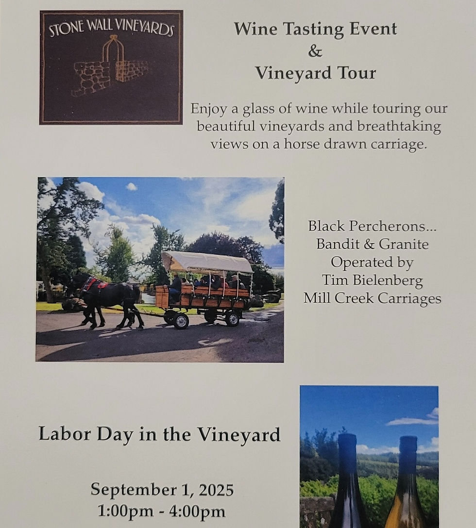 Wine Tasting and Vineyard Tour