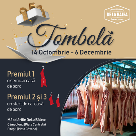 REGULAMENT TOMBOLĂ MĂCELĂRIA „DE LA BÂLEA”