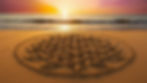FLEUR DE VIE DANS LE SABLE.jpg