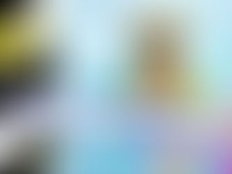 Дива известување