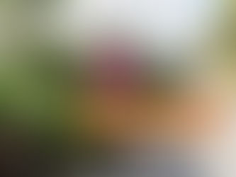 Рон Финли - гангста градинарот - за моќта на градинарството