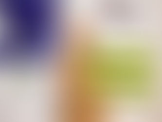 Бош фестивалот преку објективот на Наташа Гелева