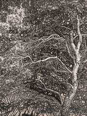 Сашо Алушевски и шумата што не сака да се претвори во слика