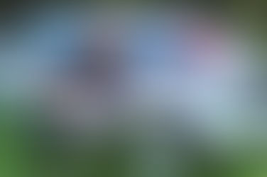 Вирална десничарска кантри песна Rich Men North of Richmond карактеризирана како навредлива и дебело