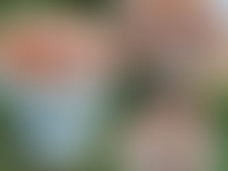 Не фрлајте ги лушпите од јајца! 15 Генијални начини да ги искористите дома и во градината