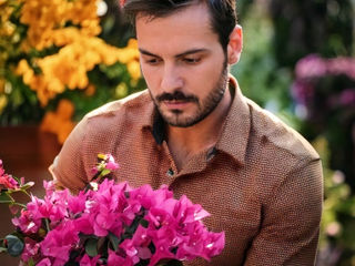 Зошто мојата бугенвилија не цвета? Најчести причини и решенија