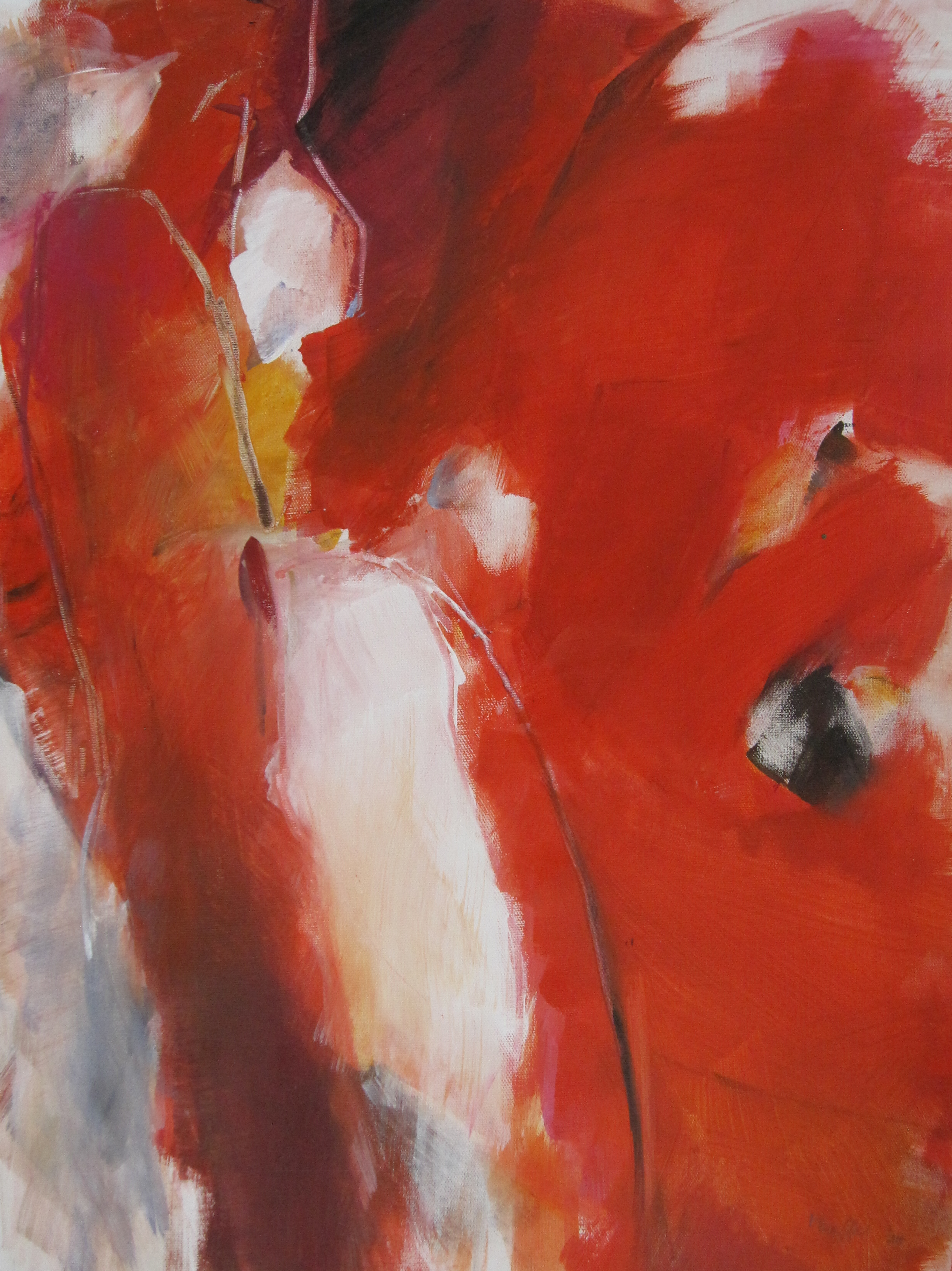 Bild 40