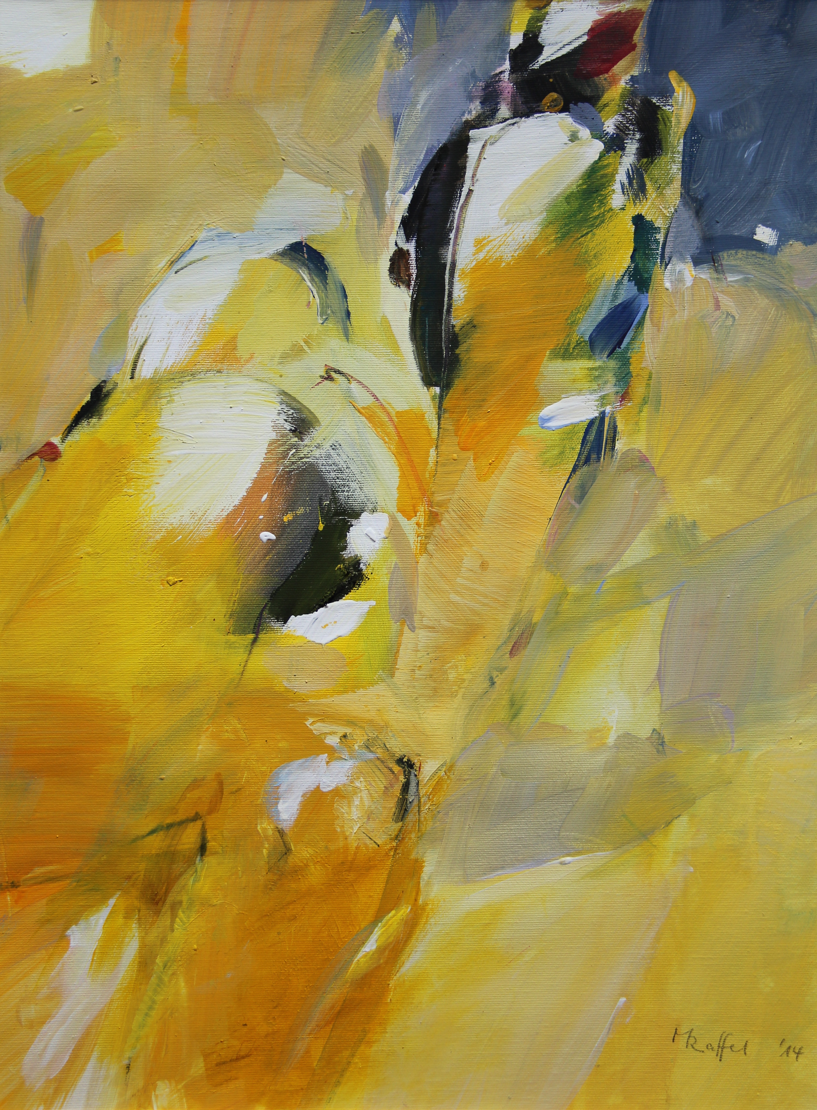 Bild 15