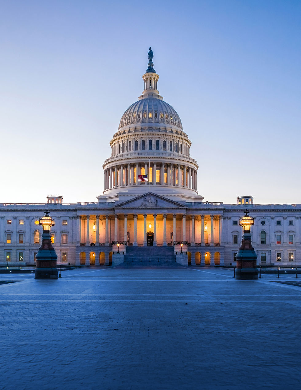 Capability Statement_RBG_website_edited.jpg