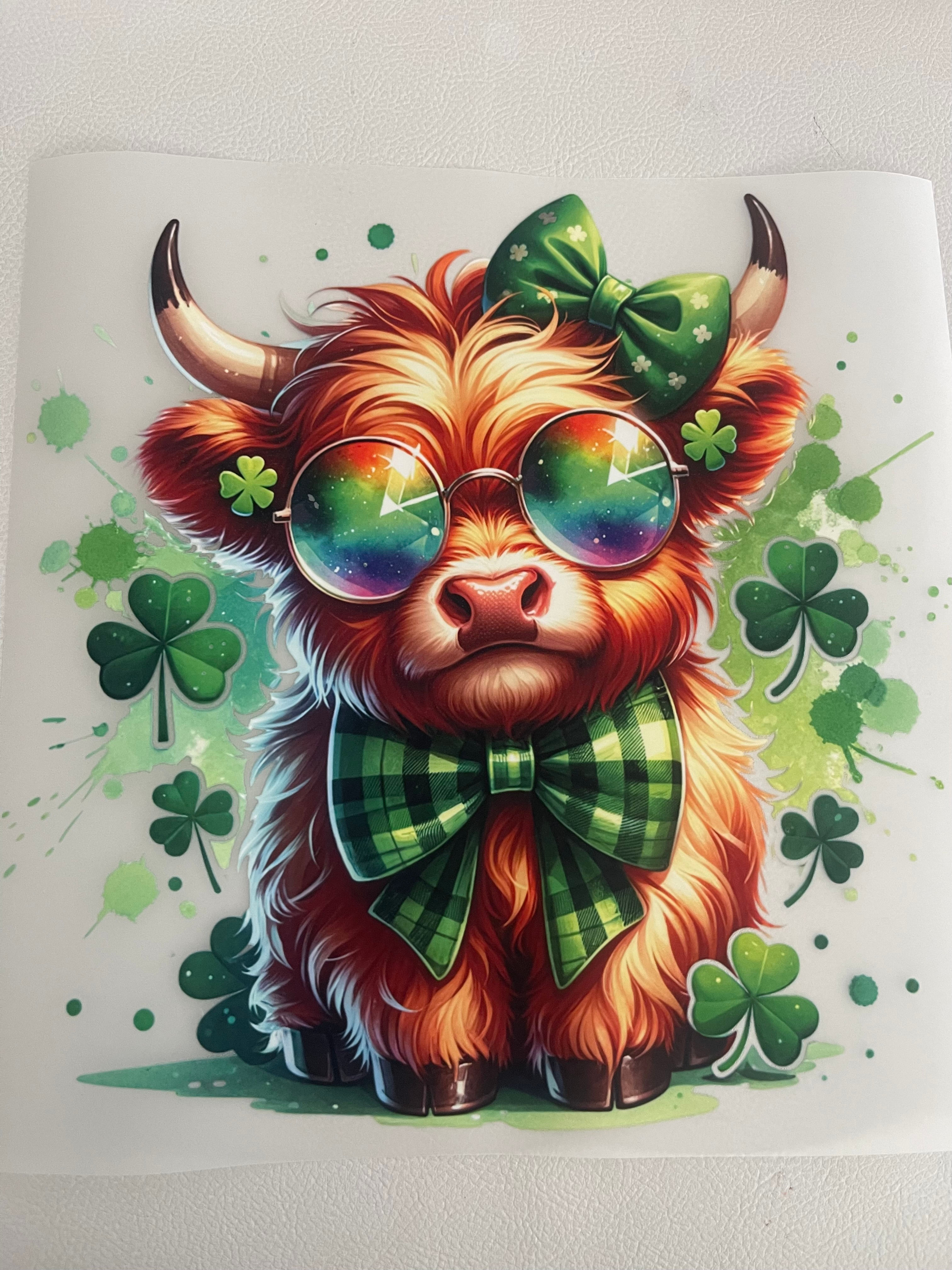 St Patrick's Highland Cow