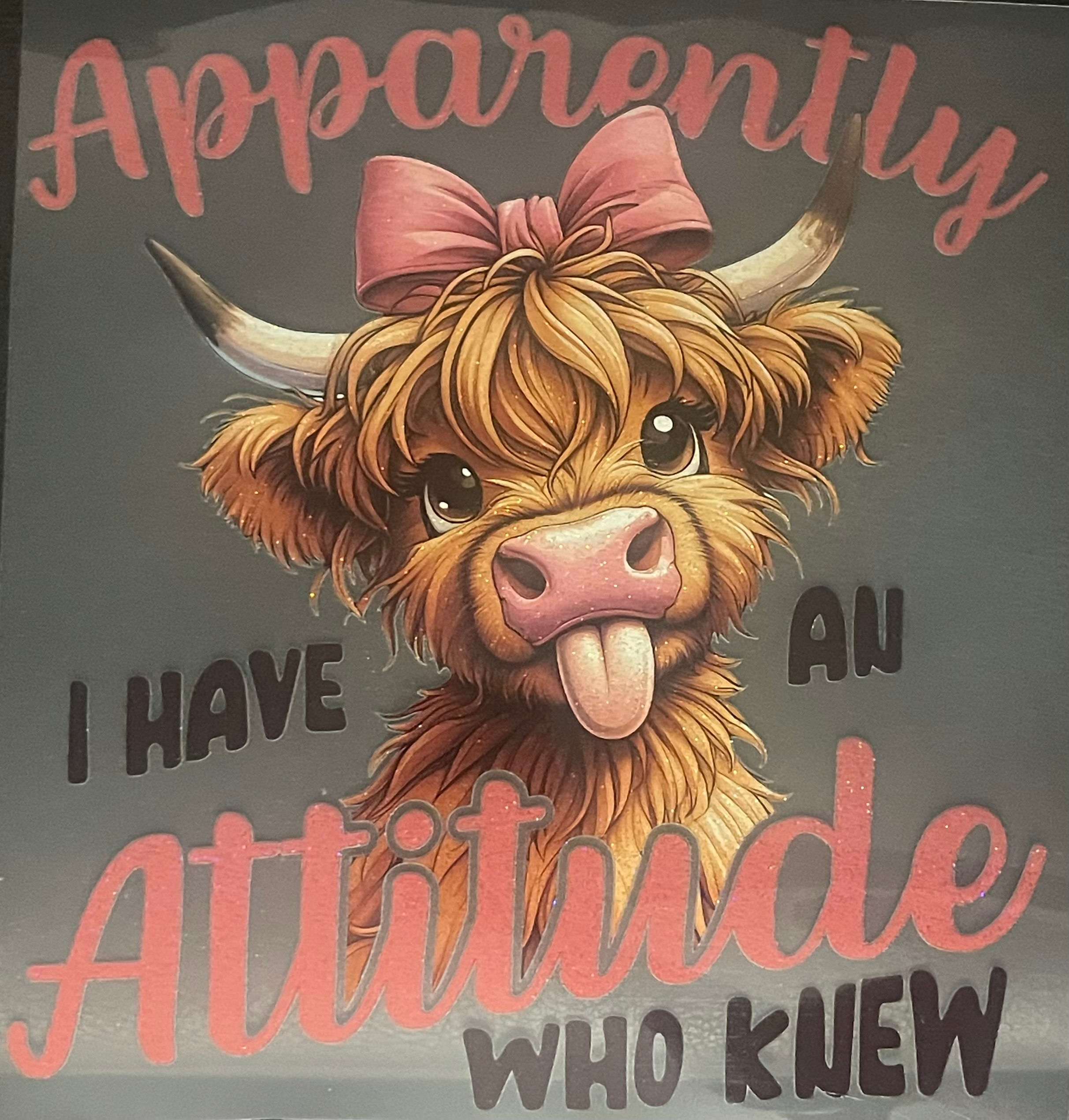 Apparently I Have An Attitude, Who Knew