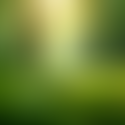 The Importance of Sustainable Living in Today's World