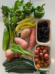 Week 1 Fall Share