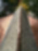 11181959_1687236241495230_6846668059570883044_n.jpg