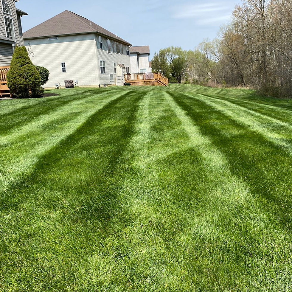 Newark Hardscaping & Landscaping - Federico Alvarez
